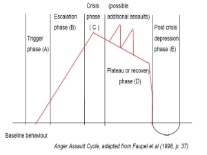 anger assalult cycle